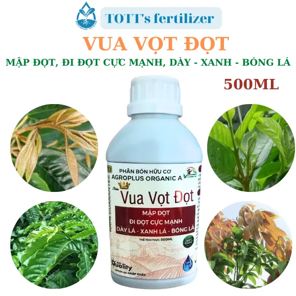 Vua vọt đọt, mập đọt, đi đọt cực mạnh, dày-xanh-bóng lá chai 500ml TOTT's fertilizer