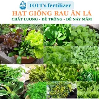 Hạt giống rau ăn lá loại dễ trồng nảy mầm tốt TOTT's fertilizer