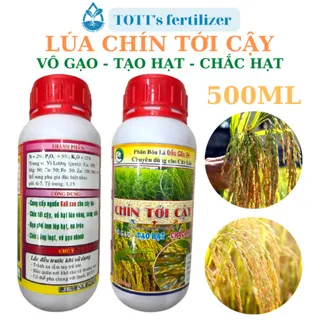 Phân cây lúa chín tới cậy chai 500ml, vô gạo nhanh, hạt vàng sáng TOTT's fertilizer